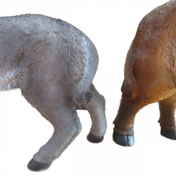 Ochse und Esel RIESIG zu 40 bis 50 cm Figuren